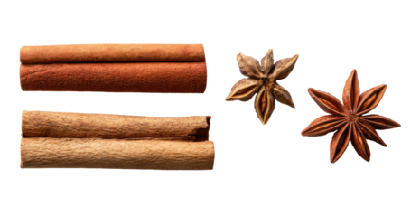 Fragrant spice assortment cinnamon sticks and star anise