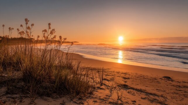 Golden sunlight reflects on calm ocean waves at sunset with soft sand and gentle grasses framing the serene beach scene. A tranquil moment by the water at dusk.