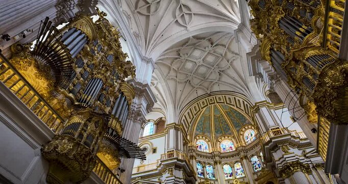 Panoramic view of Granada Cathedral&rsquo;s circular main chapel, towering columns, ornate white-and-gold d&eacute;cor, and the monumental organ beside the central aisle.