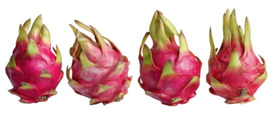Four vibrant pink dragon fruits with green leafy tops