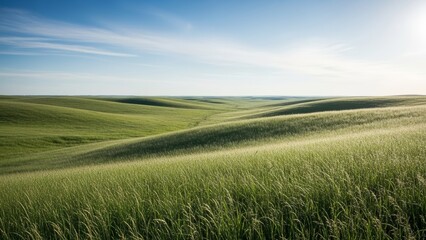 Green rolling hills under a blue sky with tall grass in the foreground