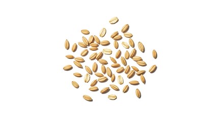 Scattered dry oat grains, healthy raw whole food ingredient, top view on white.