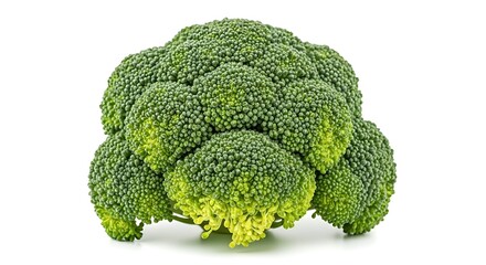 Fresh vibrant green broccoli florets vegetable, healthy nutrition ingredient.
