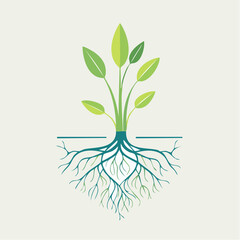 Green Plant With Intricate Root System Growing In Earth on Light Background