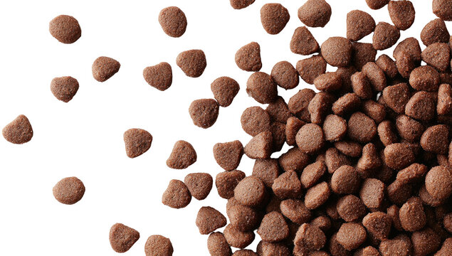 Close-up of small, dark brown, irregular-shaped kibble pieces