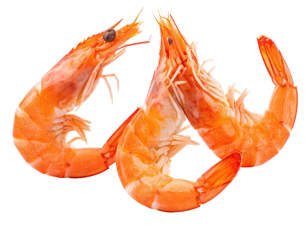 Cooked shrimps, orange, textured, curved tails