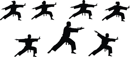 Silhouette of martial artists practicing karate poses, traditional combat training, discipline and strength workout, self defense and martial arts practice background