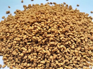 fenugreek seeds on a white background