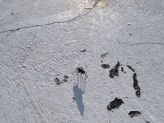 traces on snow