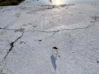 old stone wall macro