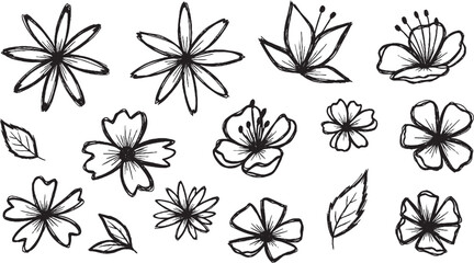 Fototapeta premium Set of hand-drawn flower illustrations simple floral elements in sketch style background for spring design