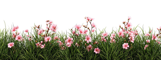 Delicate pink flowers bloom amidst lush green grass