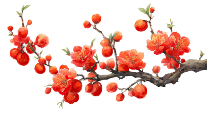 Blooming branches with vibrant red blossoms on a dark background