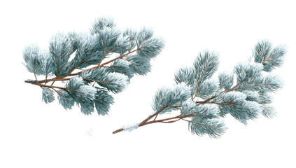 Two snowy evergreen branches with a hint of winter frost