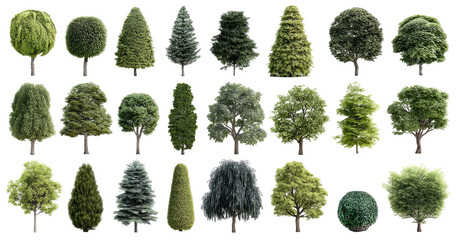 Diverse collection of various trees, isolated on black background