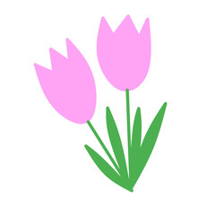 Two pink tulips with green leaves on a white background