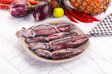 Raw fresh squid for cooking
