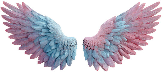 Pair of feathered wings, split color pink and light blue