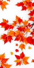 Obraz premium Warm fall leaves create a vivid cascade of red, orange, and yellow hues on a stark white canvas, orange, texture