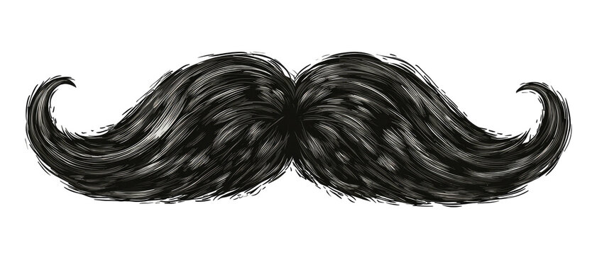 Realistic black curly mustache with wispy ends on a black background