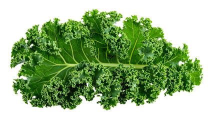 Vivid close-up shows a vibrant green kale leaf with intricate ruffled edges (1)