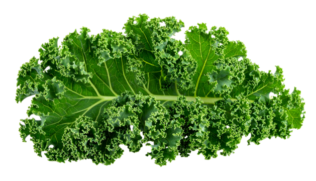 Vivid close-up shows a vibrant green kale leaf with intricate ruffled edges (1)