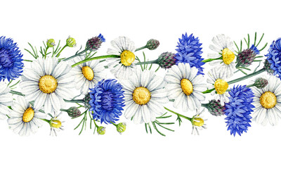 Chamomile with blue cornflowers blossoms seamless border decor element vintage style watercolor illustration. Hand drawn wildflower meadow flowers floral rustic decoration on white background