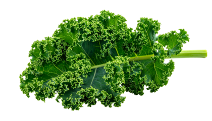 Vivid close-up shows a vibrant green kale leaf with intricate ruffled edges
