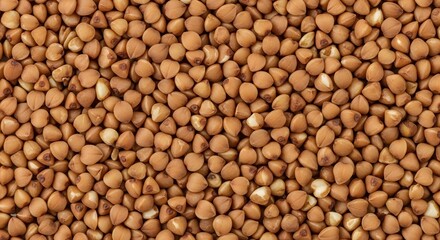 Close up of dry buckwheat grains a healthy and nutritious food