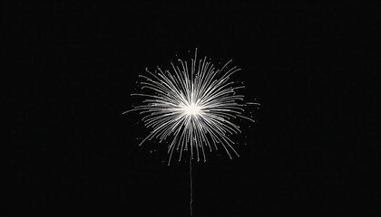 White Firework Burst on Black Background