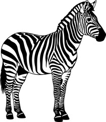 Fototapeta premium Detailed Zebra Silhouette Illustration – African Wildlife Vector Art