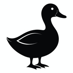 Black duck silhouette with white eye and wing details