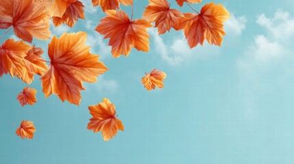 Autumn leaves falling against a bright blue sky