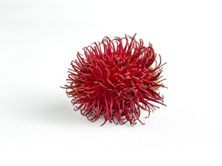 Red ripe rambutan fruit isolated on white background