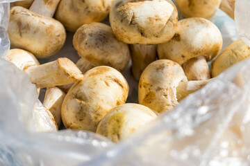 Fresh mushrooms in a transparent bag close-up in daylight.