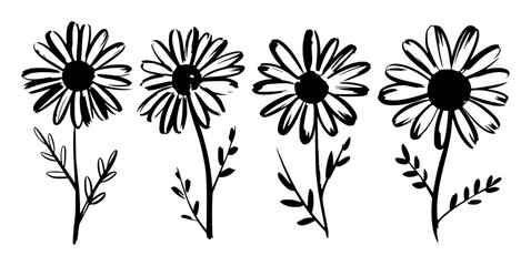 Black and White Hand-Drawn Daisy Flowers with Stems and Leaves