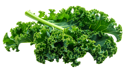 Close-up of vibrant green kale leaves with their characteristic curly edges, isolated on black