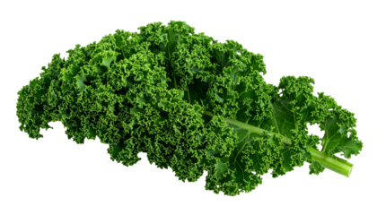 Close-up of a single vibrant green leafy vegetable on a solid black background