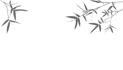 Shadow of gray bamboo branches and leaves, natural decoration on isolated background.