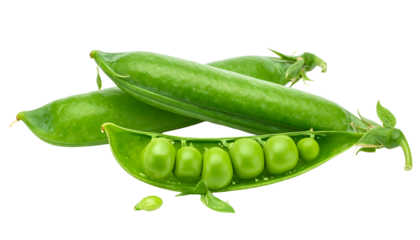 Close-up of several vibrant green pea pods; some whole, one open with visible peas