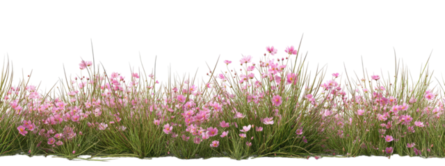 A lush border of delicate pink wildflowers and tall green grass
