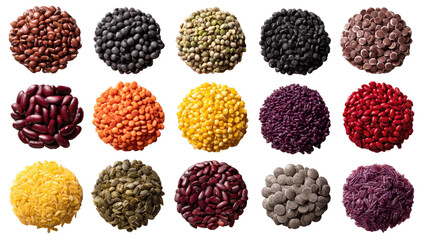 Fifteen circular displays of various dried beans and grains