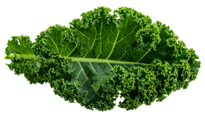 Close-up of a single, vibrant green leafy vegetable on a solid black background