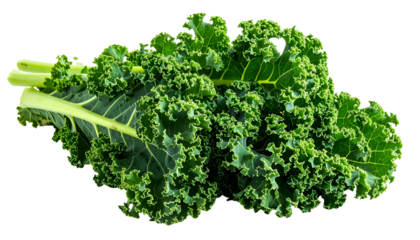 Close-up of fresh, vibrant green curly kale leaves and stems against a black backdrop