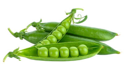 Close-up studio shot of several vibrant green pea pods, some open to reveal peas