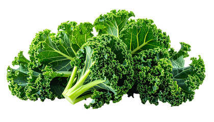 Close-up of lush, vibrant green curly kale leaves against a stark black background