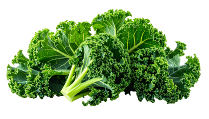 Close-up of lush, vibrant green curly kale leaves against a stark black background