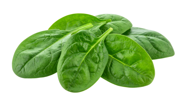 Close-up of fresh, vibrant green spinach leaves, isolated against a solid black background