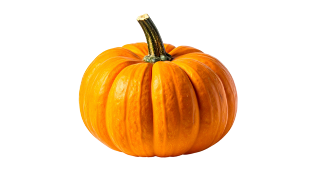 A vibrant, perfectly round, orange gourd isolated against a pure black background