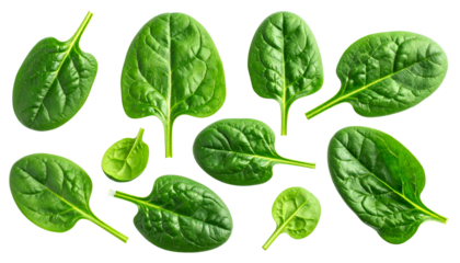 Close-up of several green, vibrant spinach leaves, isolated against a black background